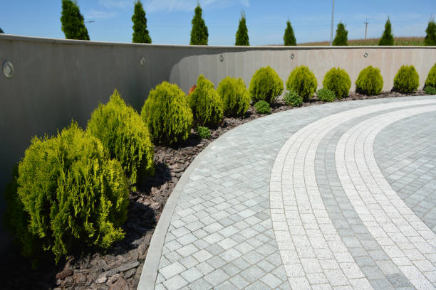 Best Driveway Pavers Near Me  in Lakeport, CA